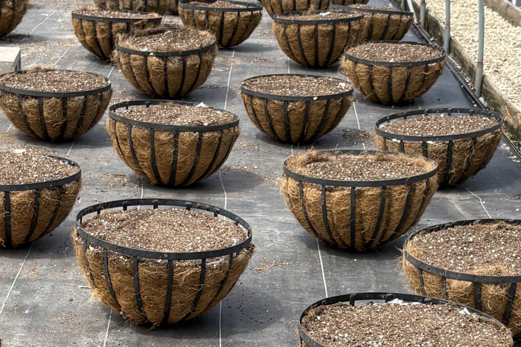 Custom baskets in fill process